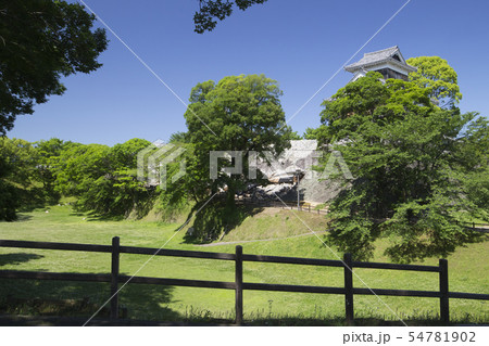 熊本城の未申櫓 54781902