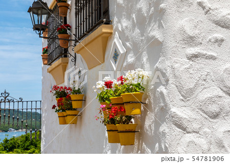 志摩地中海村 白い壁と花 54781906