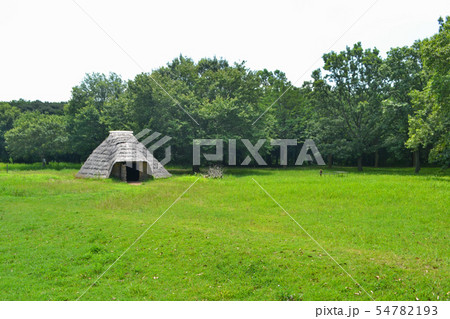 加曽利貝塚 竪穴式住居 加曽利貝塚 竪穴式住居 54782193