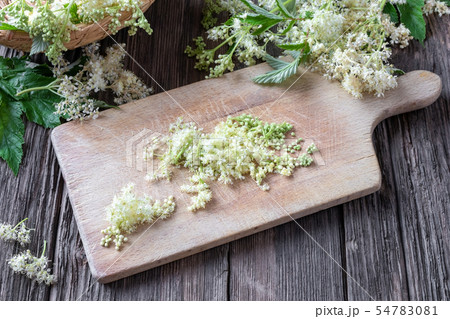 Preparation of tincture from meadowsweet blossoms Preparation of tincture from meadowsweet blossoms 54783081