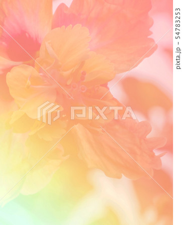Flower background with a pastel colored Flower background with a pastel colored 54783253