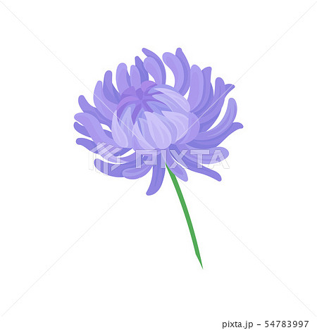 Blue half-burst flower. Vector illustration on white background. 54783997