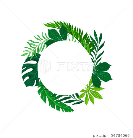 Round frame of leaves placed outside. Vector illustration on white background. Round frame of leaves placed outside. Vector illustration on white background. 54784066