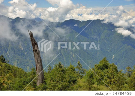 景色 風景 台湾 54784459