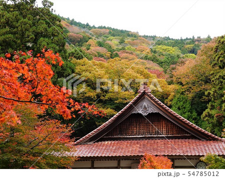 色づき始めた聖宝寺の紅葉風景 54785012
