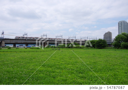 河川敷緑地と鉄道 河川敷緑地と鉄道 54787087