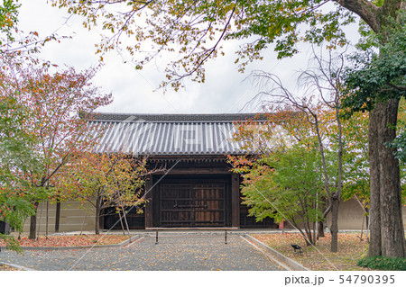 古都京都 東寺 東大門 54790395