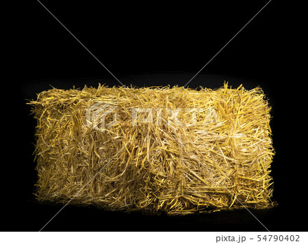 yellow dry barley straw 54790402