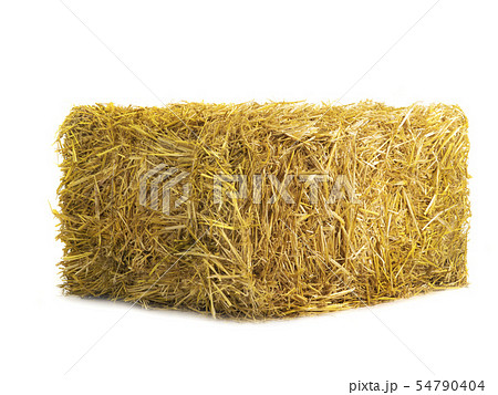 yellow dry barley straw isolated on white yellow dry barley straw isolated on white 54790404