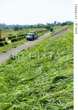 草刈り　草刈り機　草　雑草　清掃　清掃員　第三セクター 54790901