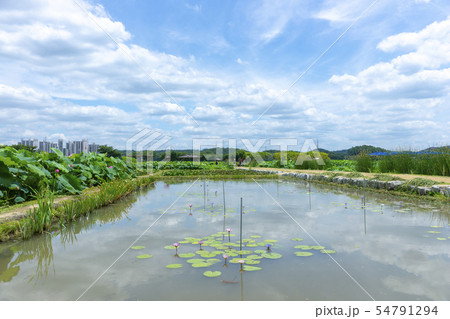 風景 自然 韓国 54791294