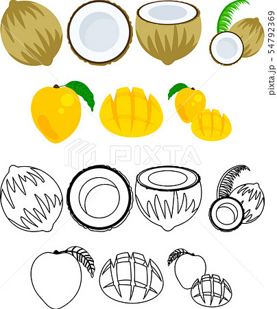 ココナッツとマンゴーの可愛いアイコンのイラスト素材