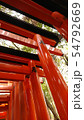 千本鳥居 54792669