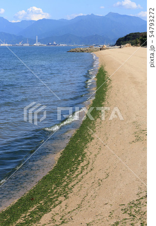 今治市の虎ヶ鼻海岸公園から石鎚連峰を望む 今治市の虎ヶ鼻海岸公園から石鎚連峰を望む 54793272