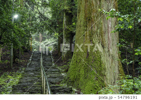 軍刀利神社の石段 54796191
