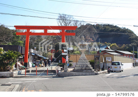 和歌山 淡島神社の鳥居 和歌山 淡島神社の鳥居 54799576