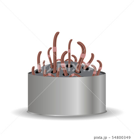 Animal Earth Red Worms for Fishing on White Background 54800349