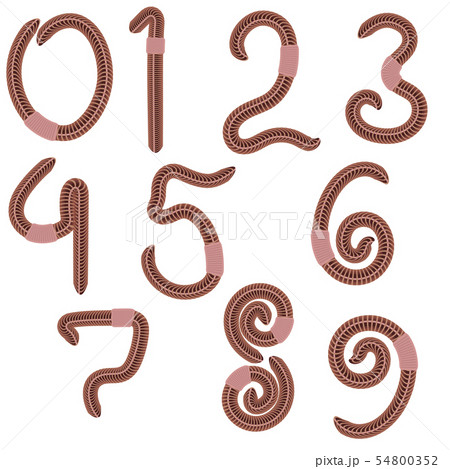 Animal Earth Red Worms for Fishing. Stylized Arabic Numerals. 54800352