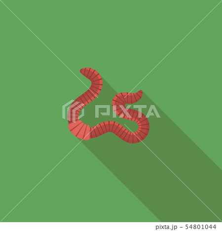 Animal Earth Red Worms for Fishing on White Background. #2642841