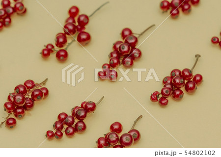 The pattern of juicy sweet fresh red currant. 54802102
