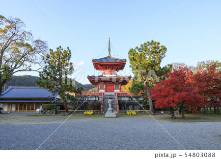 京都・秋・大覚寺・心経宝塔 京都・秋・大覚寺・心経宝塔 54803088
