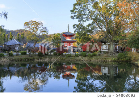 京都・秋・大覚寺・心経宝塔 54803092