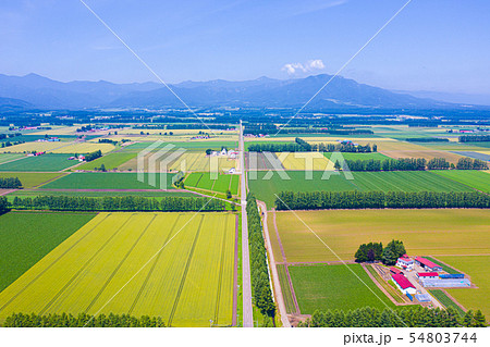 芽室町の空撮 54803744