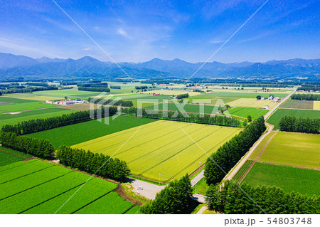 芽室町の空撮 54803748