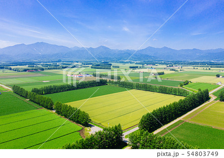 芽室町の空撮 54803749