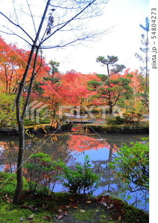 京都 法金剛院 京都 法金剛院 54804273