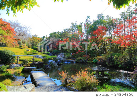 京都　退蔵院 54804356