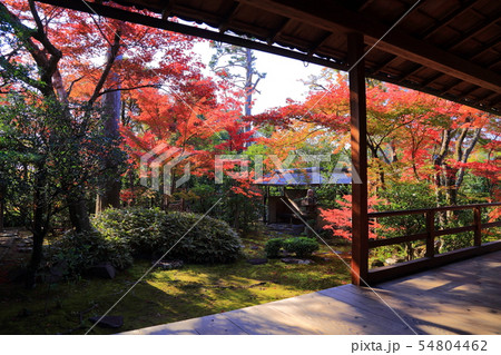 京都 大法院 京都 大法院 54804462