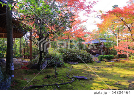 京都 大法院 京都 大法院 54804464