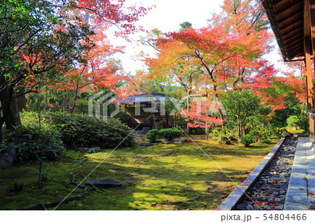 京都　大法院 54804466