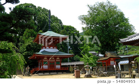 世界遺産 慈尊院多宝塔 世界遺産 慈尊院多宝塔 54804955