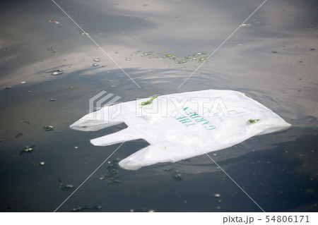 trash in Chiba bay 54806171