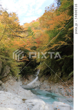 ユーシン渓谷の紅葉 ユーシン渓谷の紅葉 54806516