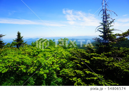 八幡平 源太森 八幡平 源太森 54806574