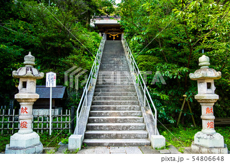 鎌倉 甘縄神明神社 参道と石灯籠 鎌倉 甘縄神明神社 参道と石灯籠 54806648