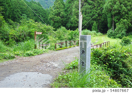 荷坂峠への道 54807667
