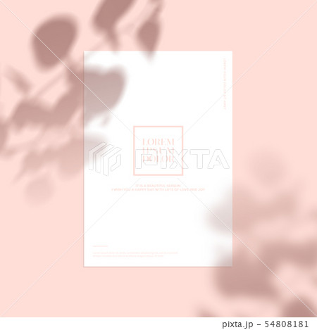 フレーム 背景 夏 54808181