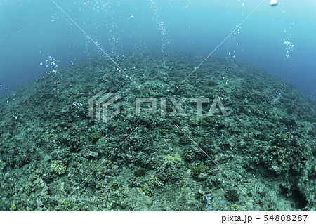 エアーカーテン 54808287