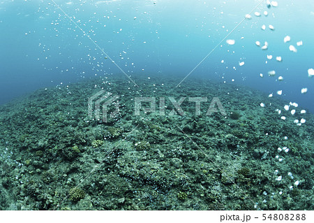 エアーカーテン 54808288