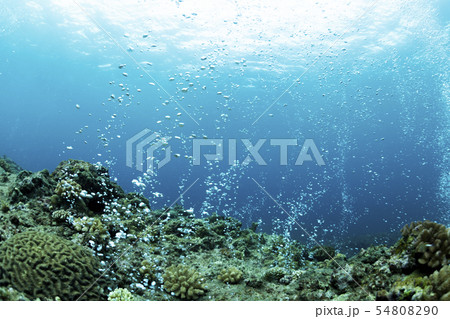 エアーカーテン 54808290