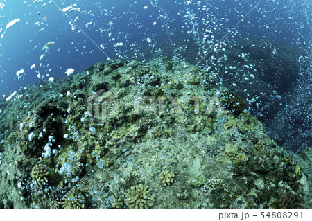 エアーカーテン 54808291