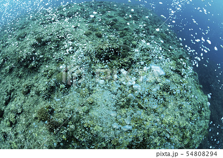 エアーカーテン 54808294