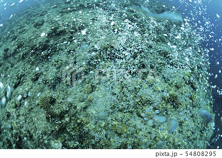 エアーカーテン 54808295