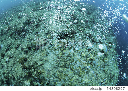 エアーカーテン 54808297