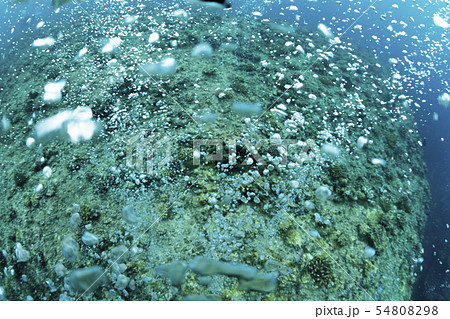 エアーカーテン 54808298