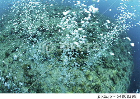 エアーカーテン 54808299